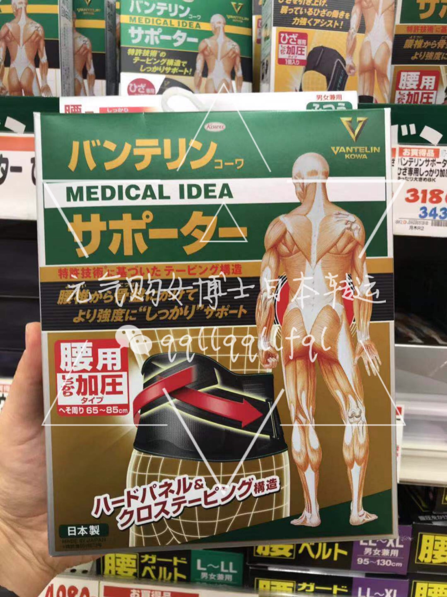 兴和/KOWA · 万特力护膝/护腰（一盒一只）
